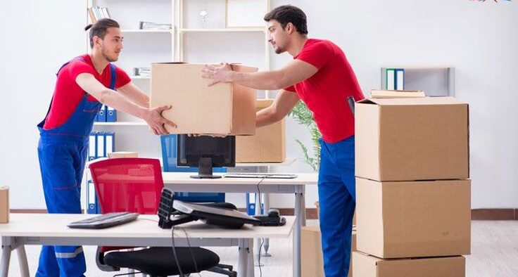 moving and packing services